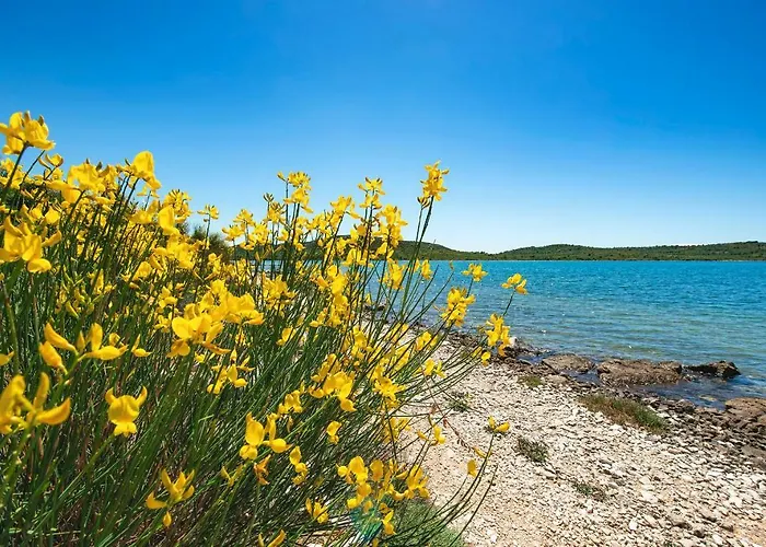 Midavkl Appartement Pirovac