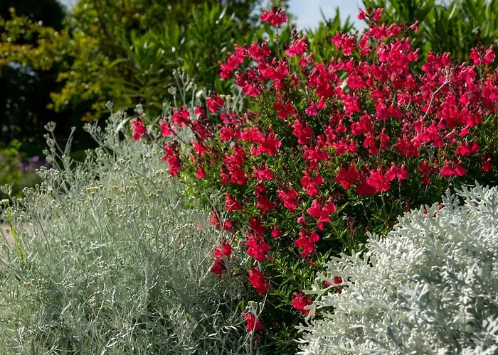 Appartement Midavkl *