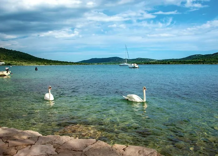 Appartement Midavkl *